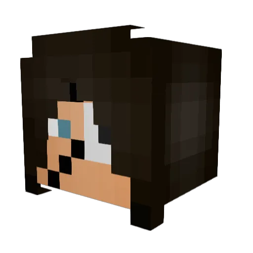 BlazeXD111 Minecraft avatar head, 3D render