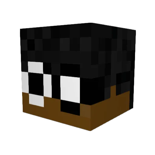 Blaze_Bubble Minecraft avatar head, 3D render