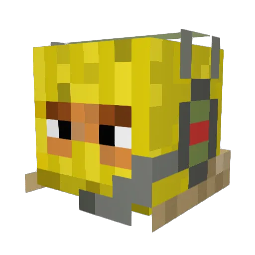 Blaze_Raptor11 Minecraft avatar head, 3D render