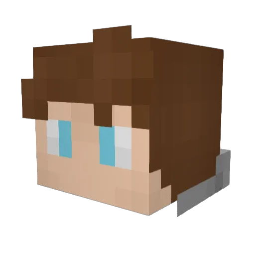 Blazee__MC Minecraft avatar head, 3D render