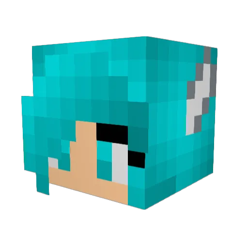 Blazekyn_Guest Minecraft avatar head, 3D render