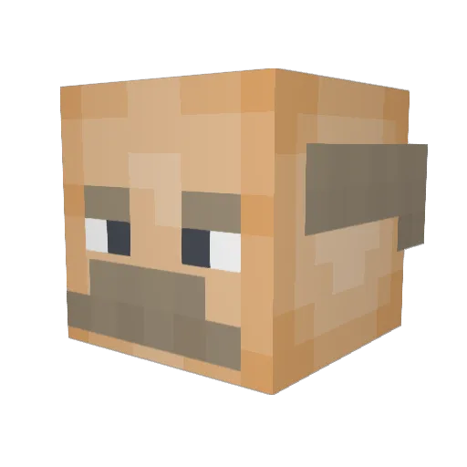 Blazepoes Minecraft avatar head, 3D render