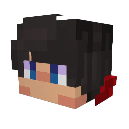 Blazer248 Minecraft avatar head, 3D render