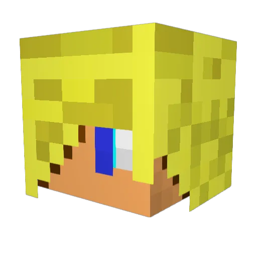 BlazerDude23 Minecraft avatar head, 3D render