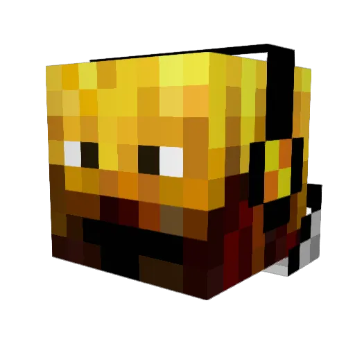 BlazerGhast567 Minecraft avatar head, 3D render