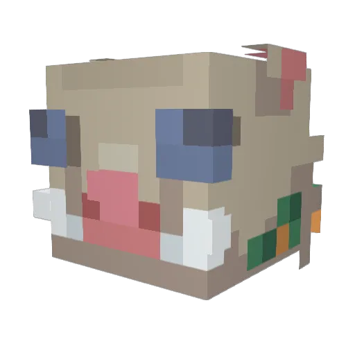 BlazerKing99 Minecraft avatar head, 3D render