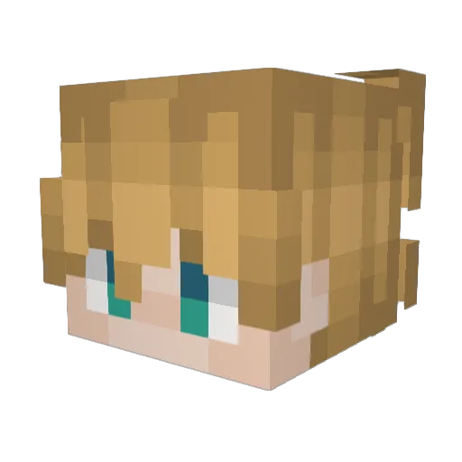 Blazerteer1213 Minecraft avatar head, 3D render