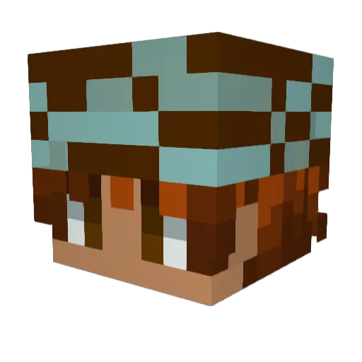 Blazestar113 Minecraft avatar head, 3D render