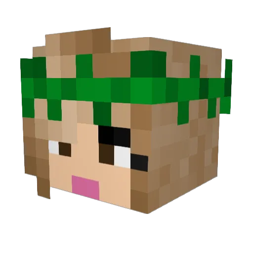 Blazikenn26 Minecraft avatar head, 3D render