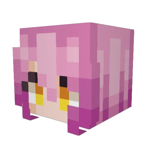 BlazingReaperS Minecraft avatar head, 3D render