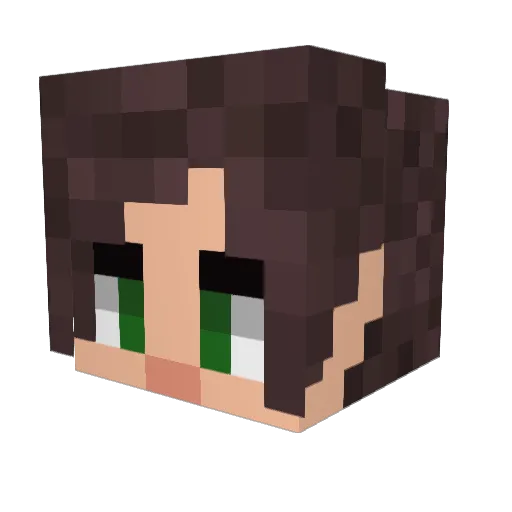 BlazingSparrow Minecraft avatar head, 3D render
