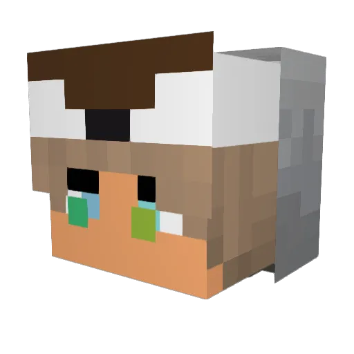 BlazingStallion Minecraft avatar head, 3D render