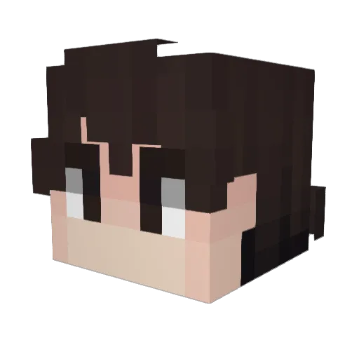 Blazing_Fire69 Minecraft avatar head, 3D render