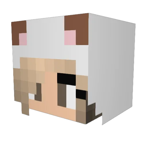 Blazing_Ice Minecraft avatar head, 3D render