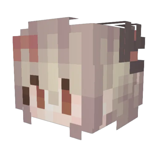 Blazkness Minecraft avatar head, 3D render