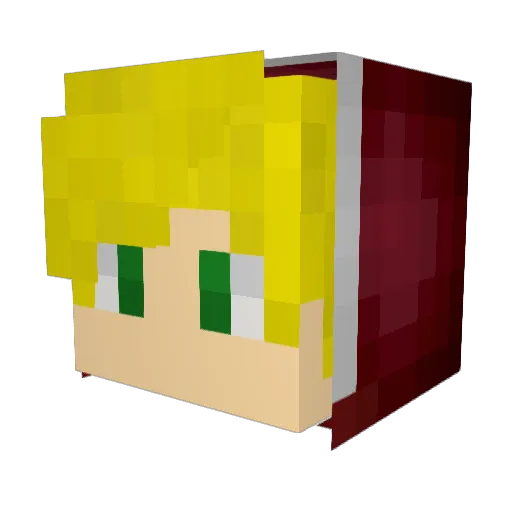 Blazze93 Minecraft avatar head, 3D render