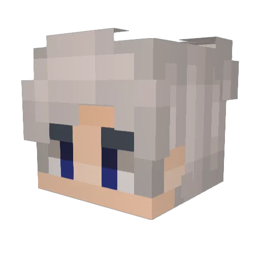 Ble1zer1 Minecraft avatar head, 3D render