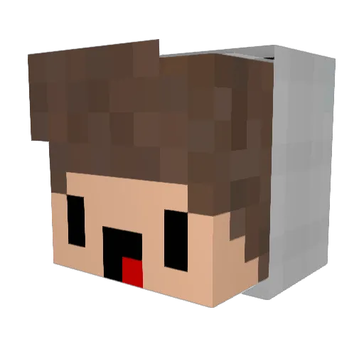 BleachedBreh Minecraft avatar head, 3D render