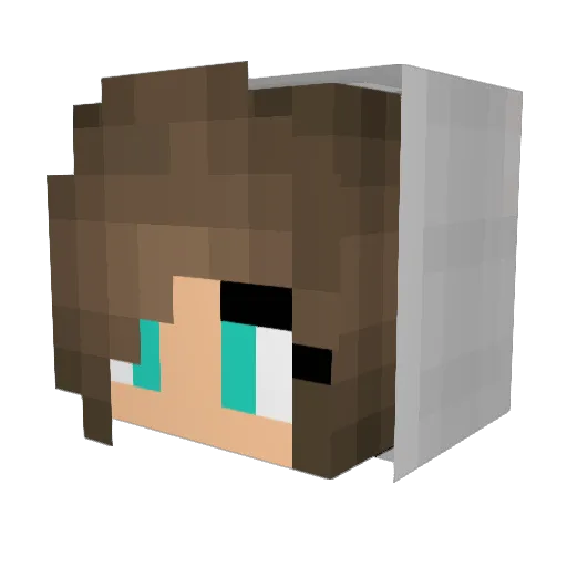 BleakBoi Minecraft avatar head, 3D render