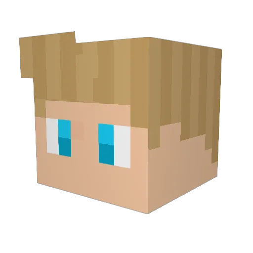BleardQ Minecraft avatar head, 3D render