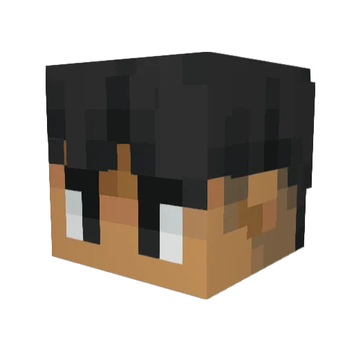 Bleasure1999 Minecraft avatar head, 3D render