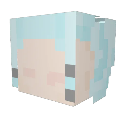 BleedSunflowrs Minecraft avatar head, 3D render