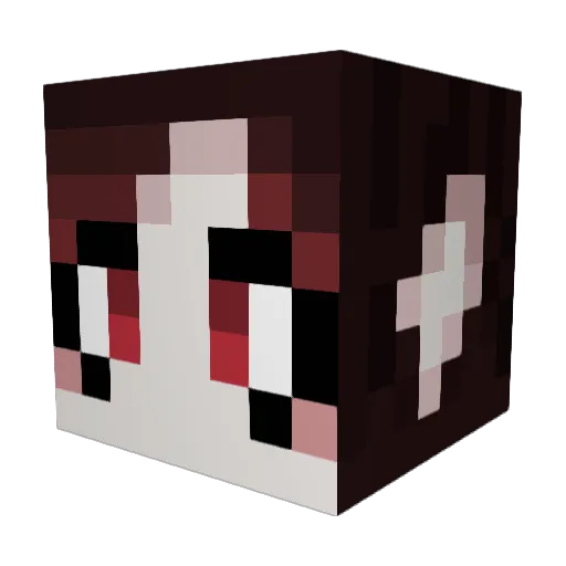 BleekFortune Minecraft avatar head, 3D render