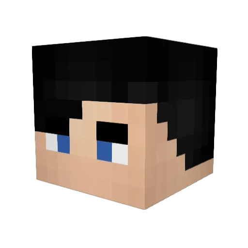 Bleh3 Minecraft avatar head, 3D render