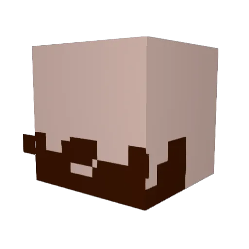 Bleikopf Minecraft avatar head, 3D render