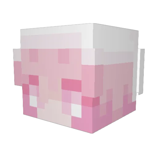 Bleiu Minecraft avatar head, 3D render