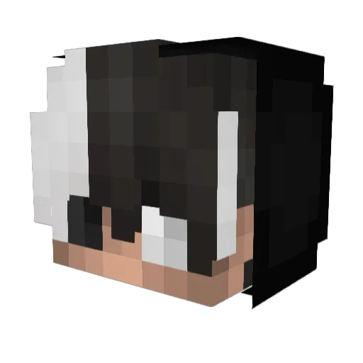 BlendedChild Minecraft avatar head, 3D render
