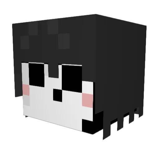 Blequizinho Minecraft avatar head, 3D render