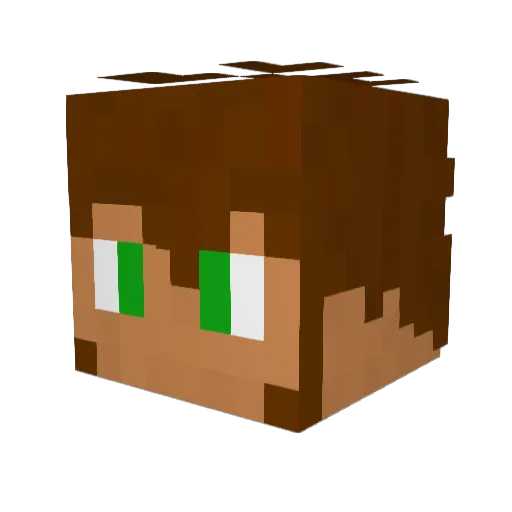 Bleres Minecraft avatar head, 3D render