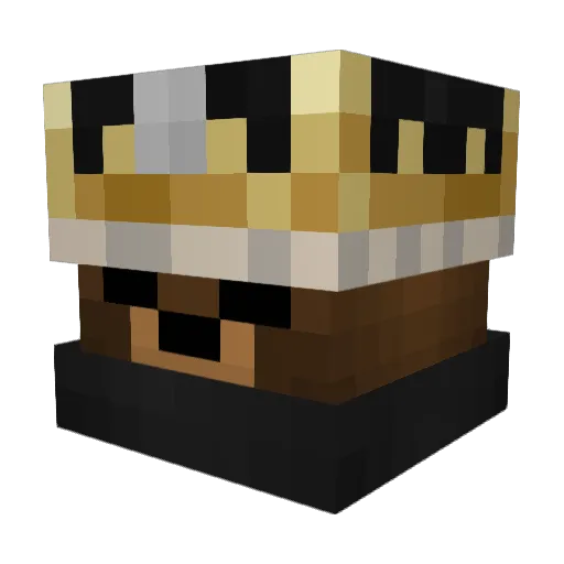 Blerxi Minecraft avatar head, 3D render