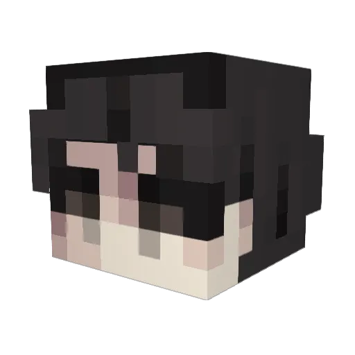 Blesley Minecraft avatar head, 3D render