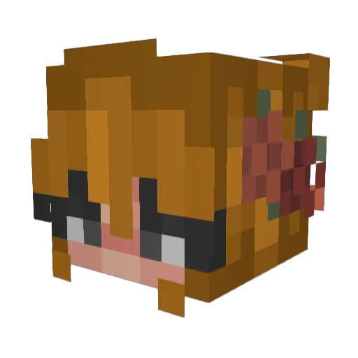 BlessedGlobe Minecraft avatar head, 3D render