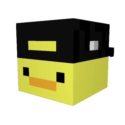 BlessedNiqqa Minecraft avatar head, 3D render