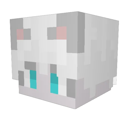 Blessedbyoli Minecraft avatar head, 3D render