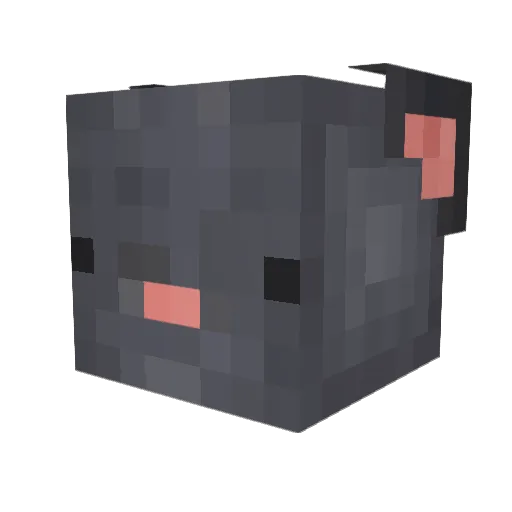 Blessire Minecraft avatar head, 3D render