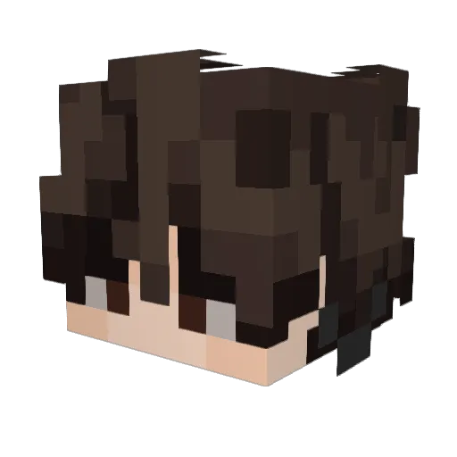 Blesssxddd Minecraft avatar head, 3D render