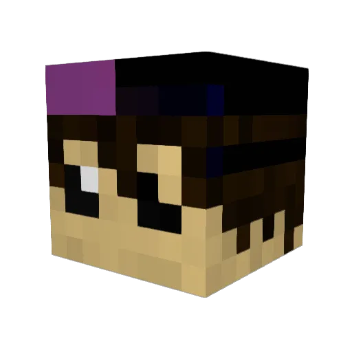BleuBleuh Minecraft avatar head, 3D render