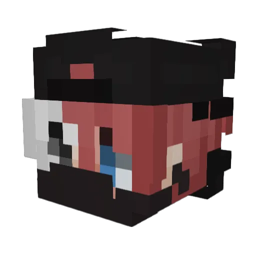 BleuNorange Minecraft avatar head, 3D render