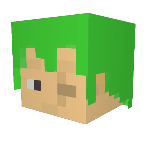 Blex8 Minecraft avatar head, 3D render