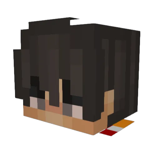 BleyAras Minecraft avatar head, 3D render