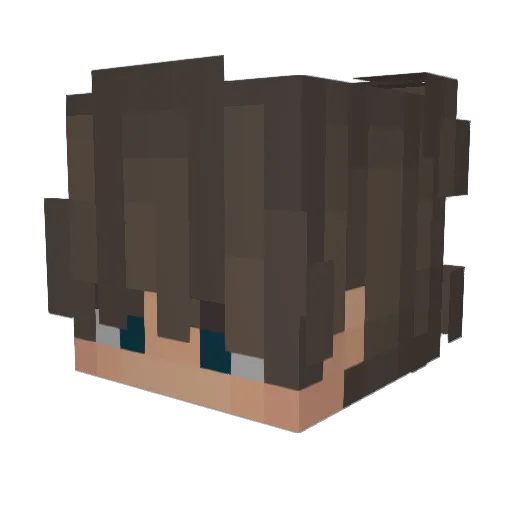 Bleyy Minecraft avatar head, 3D render