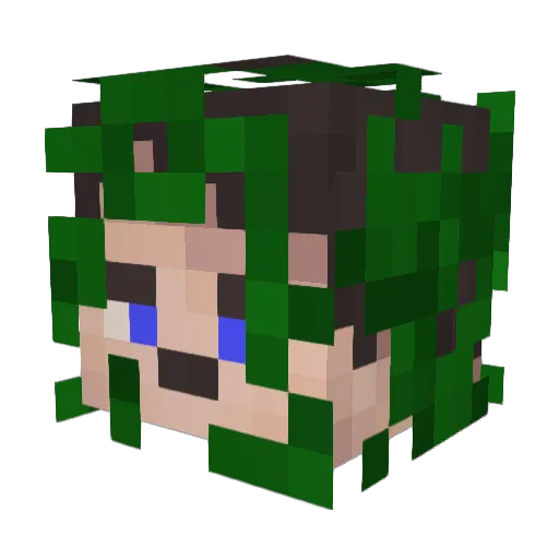 BlgPops Minecraft avatar head, 3D render