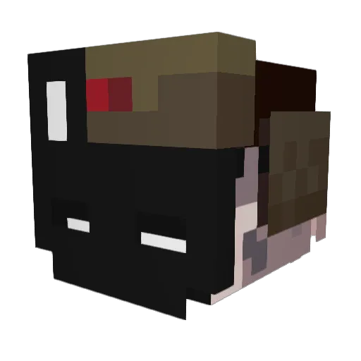 Blgo_XaviCo Minecraft avatar head, 3D render