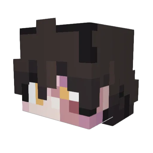 Bligblog889 Minecraft avatar head, 3D render