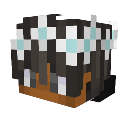 Bliixkyz Minecraft avatar head, 3D render