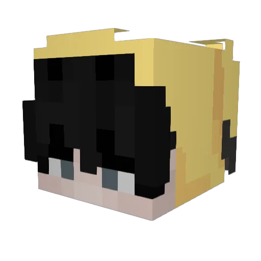 Blikimoree Minecraft avatar head, 3D render